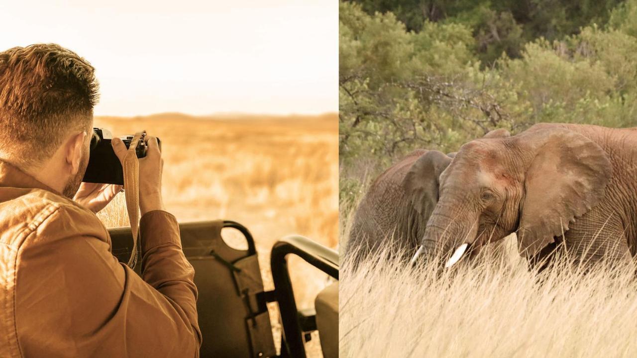 Nkomazi Game Reserve By Newmark Badplaas Exteriér fotografie