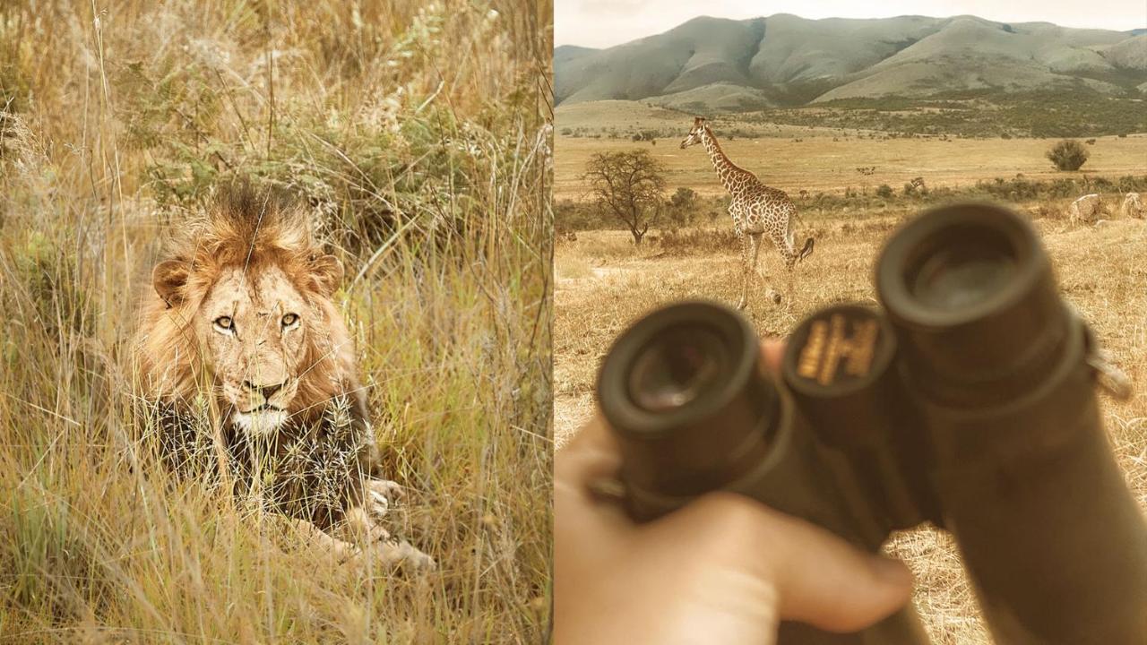 Nkomazi Game Reserve By Newmark Badplaas Exteriér fotografie