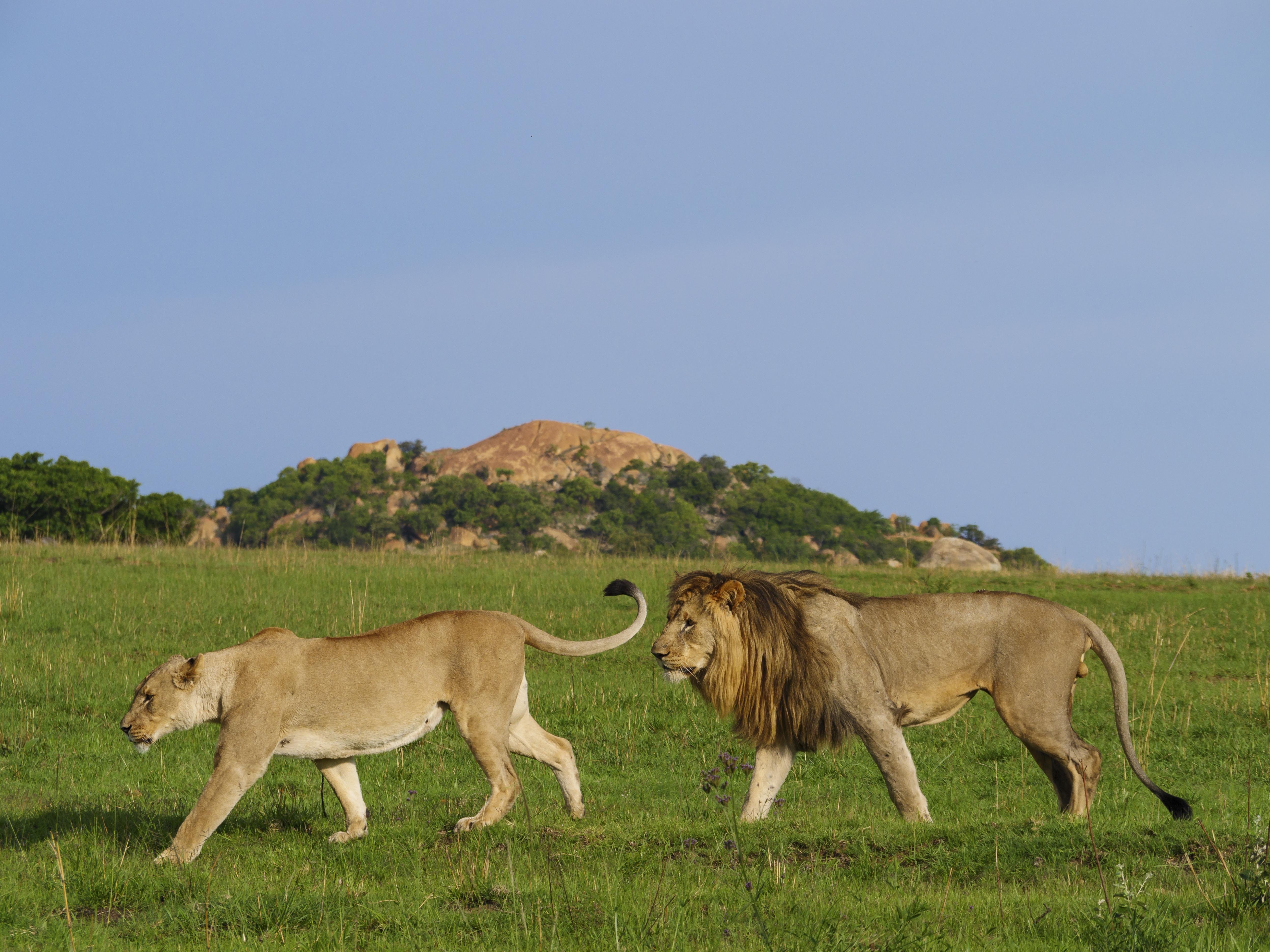 Nkomazi Game Reserve By Newmark Badplaas Exteriér fotografie