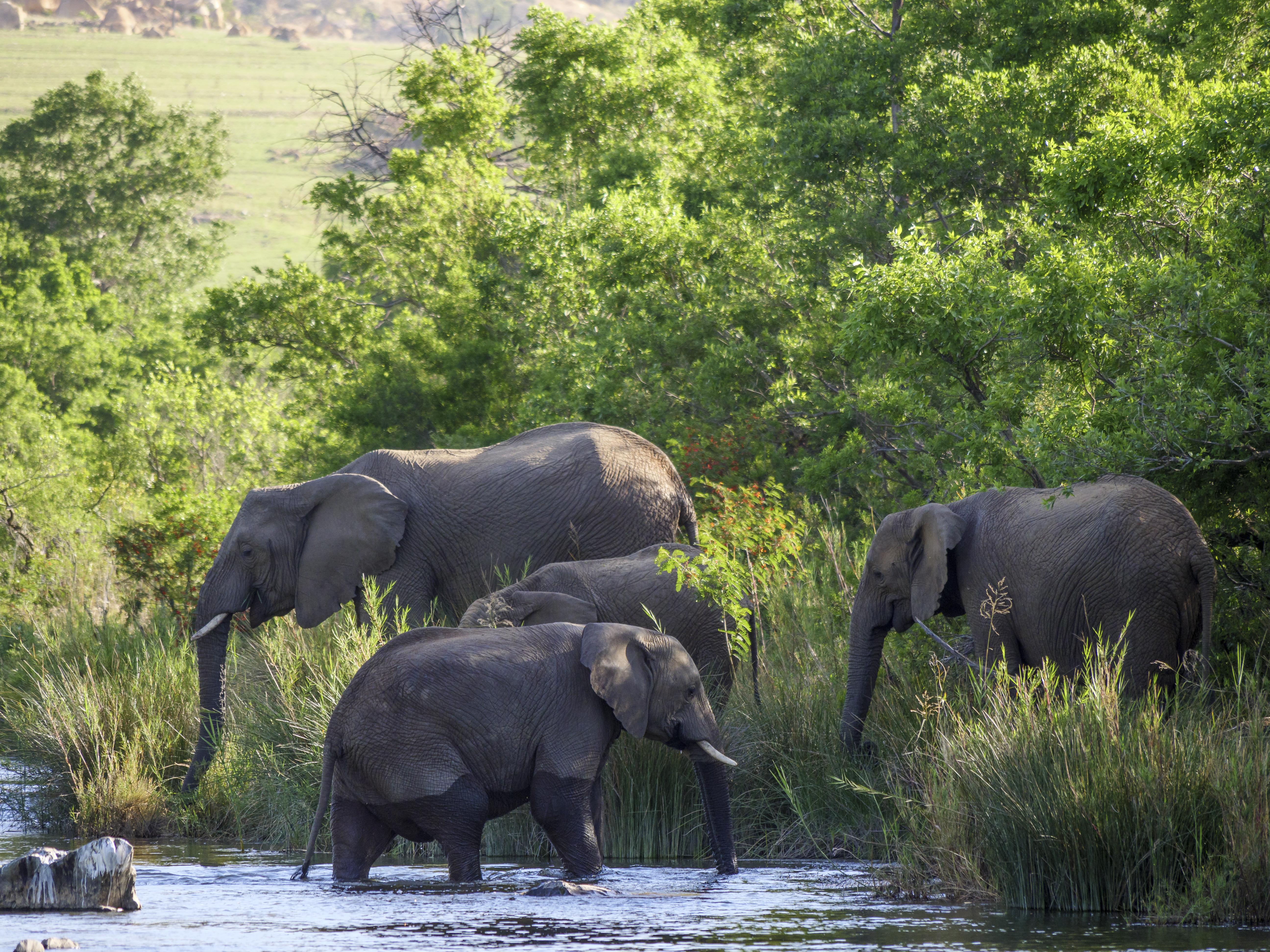 Nkomazi Game Reserve By Newmark Badplaas Exteriér fotografie